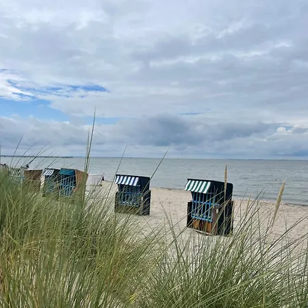 Blaumuschel Sprotte 6 *