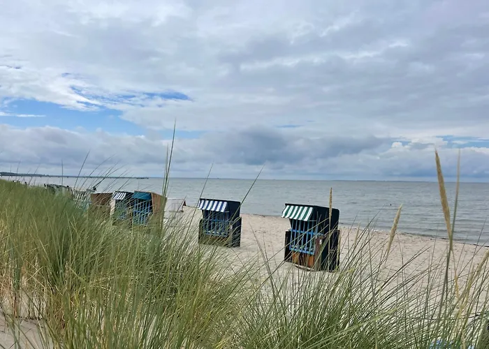 Blaumuschel Sprotte 6 *